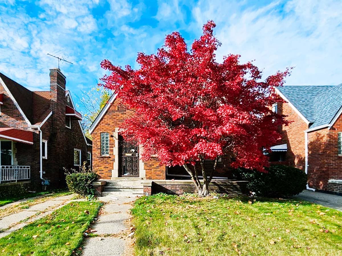 17157 Rowe St, Detroit, MI 48205